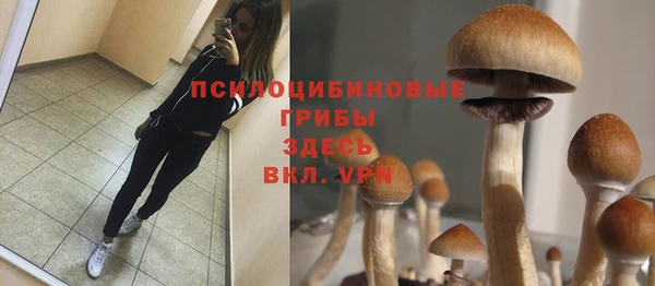 не бодяженный Армянск