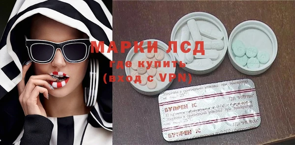 прущие грибы Арсеньев